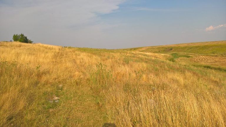 15 octombrie, termen limită pentru depunerea documentelor la APIA !