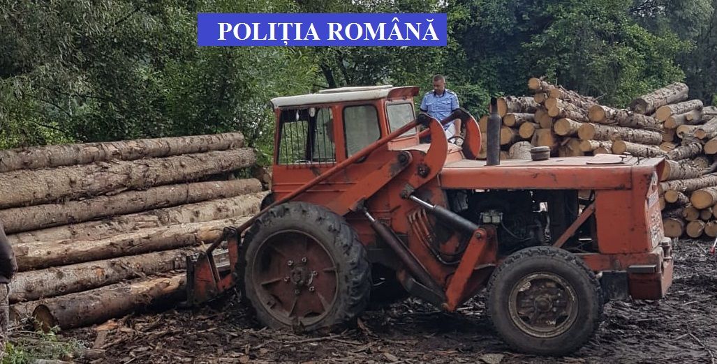 Sustragere de material lemnos la Vâlcea !