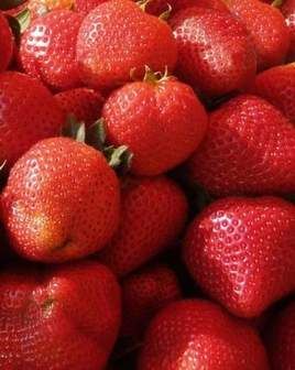 Locuri de muncă sezonieră în agricultură pentru Spania