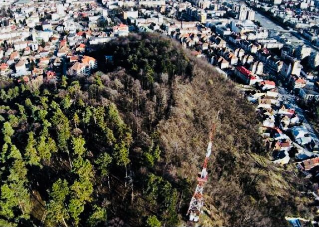 Parc pe o suprafața de 33 de hectare, amenajat pe dealul Capela