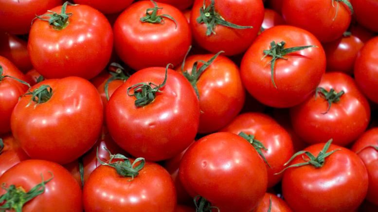 200 de tone de rosii, produse de Valcea, in extrasezon