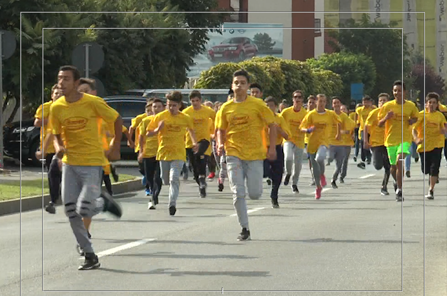 "Promenada inimilor" la Râmnicu Vâlcea  !