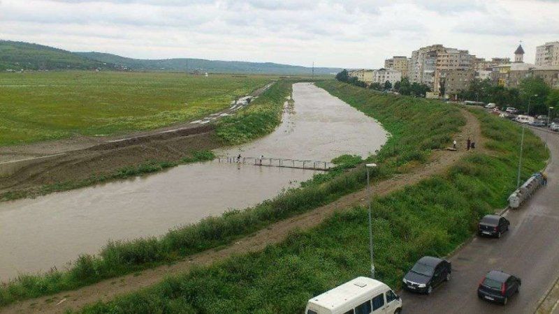 Tineri surprinşi în timp ce distrugeau jardinierele de pe Podul Vinerii Mari