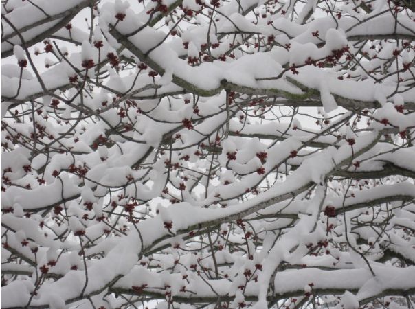 Trafic blocat timp de două ore pe Calea București