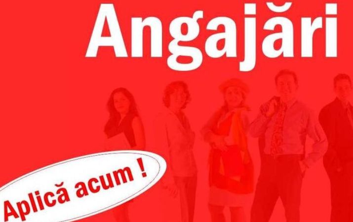 Noi locuri de muncă în județul Vâlcea, anunță Constantin Rădulescu