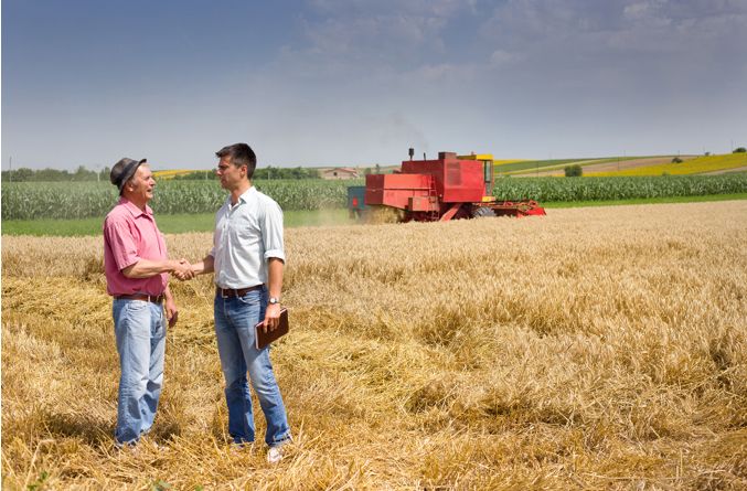 Joburi în Spania oferite românilor care doresc să lucreze în domeniul agricol