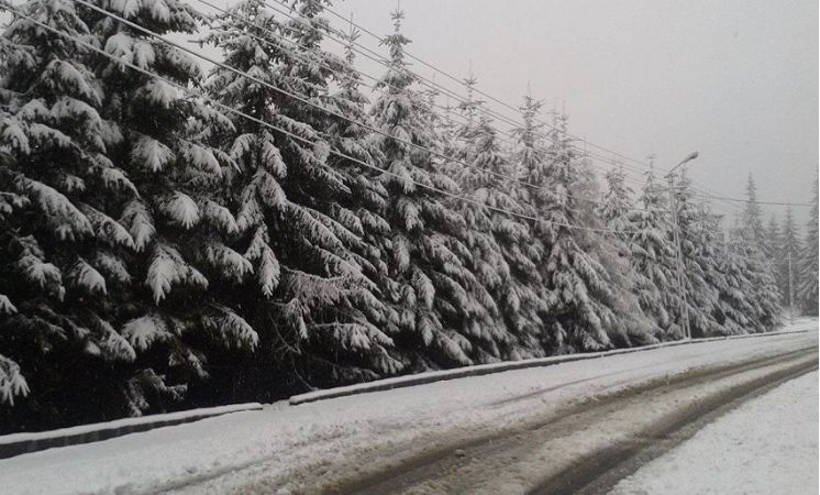 Un nou val de ninsori. Cod galben de zăpadă şi viscol la Vâlcea