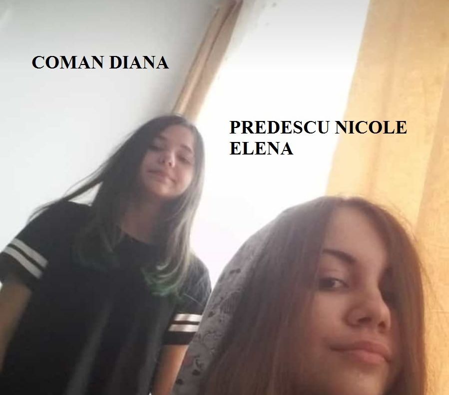 UPDATE Tinere căutate în Râmnicu Vâlcea