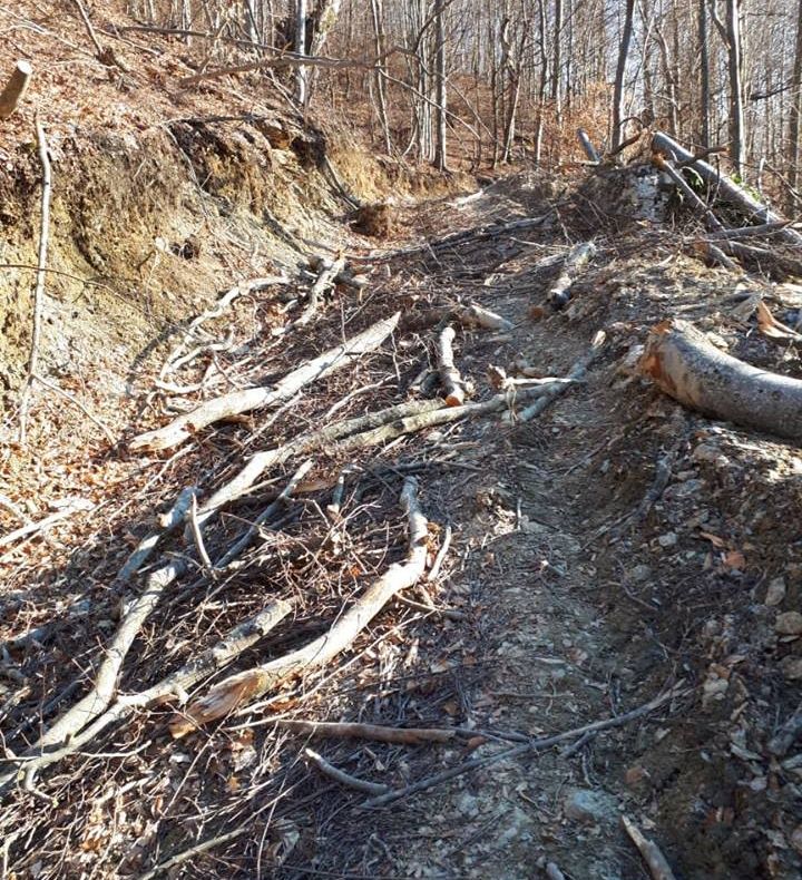 Tânăr surprins cu substanțe interzise asupra sa la Rm. Vâlcea !