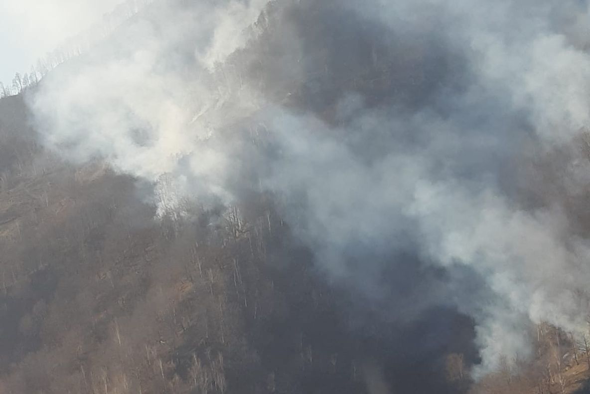 Arde pădurea la Malaia, Valcea !