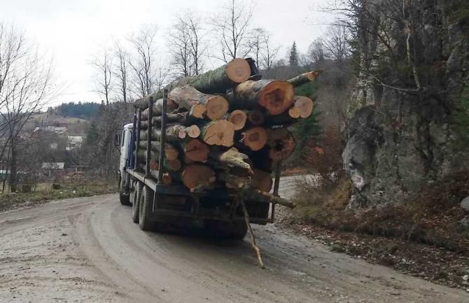 Polițiștii vâlceni, acțiuni pe linie forestieră !