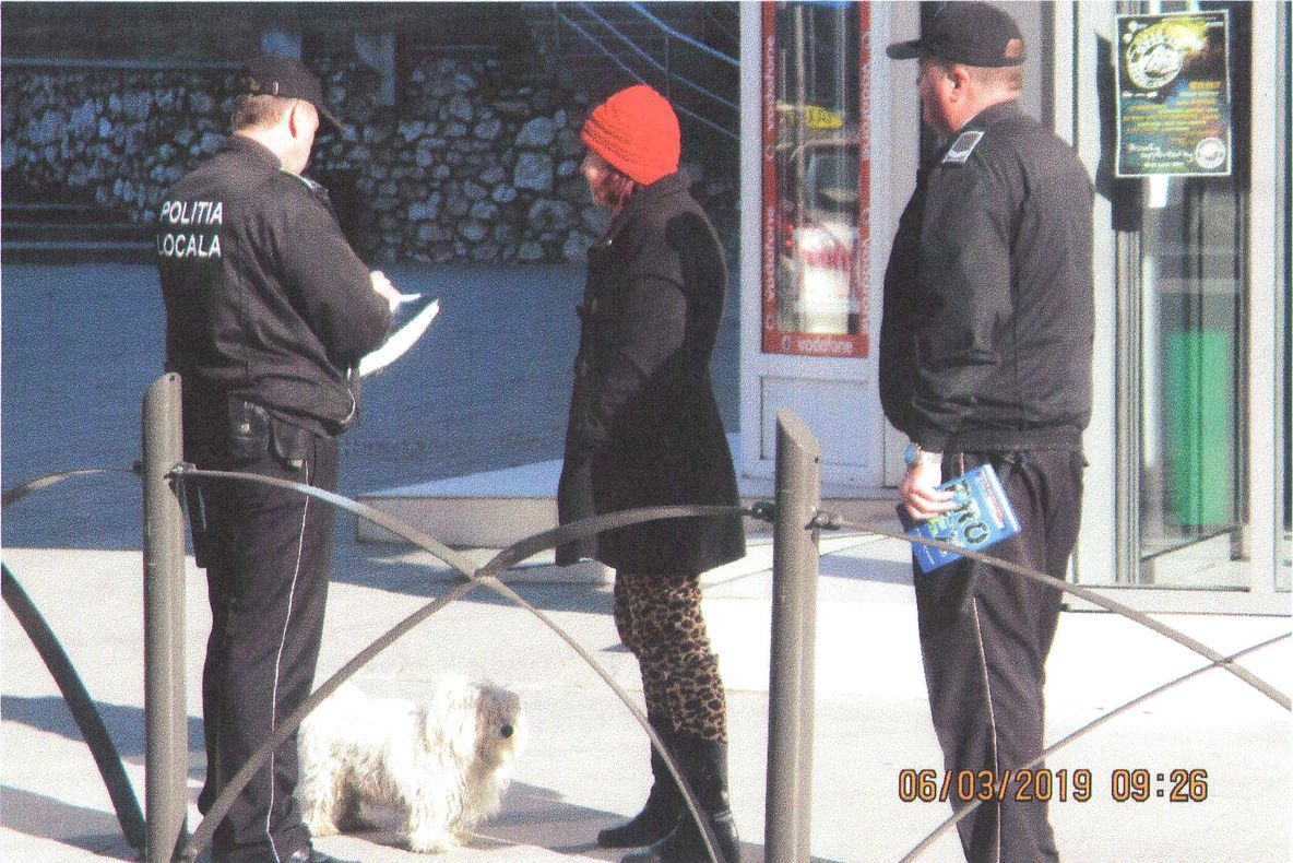 Controale  pentru depistarea angajaţilor străini illegali !