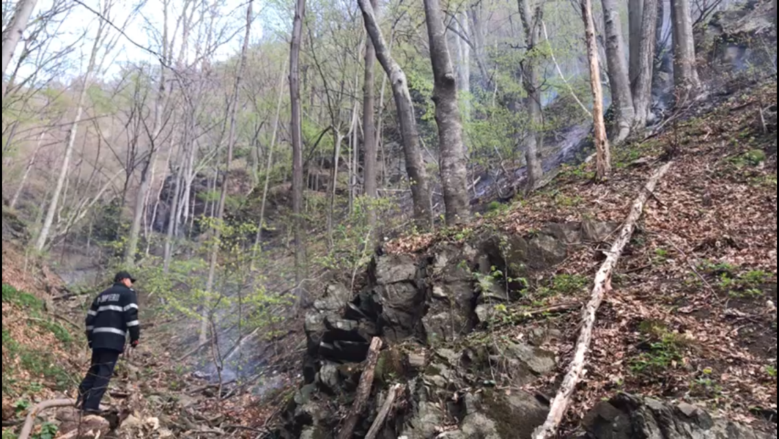 Un nou incendiu, în pădurile din nordul județului Vâlcea