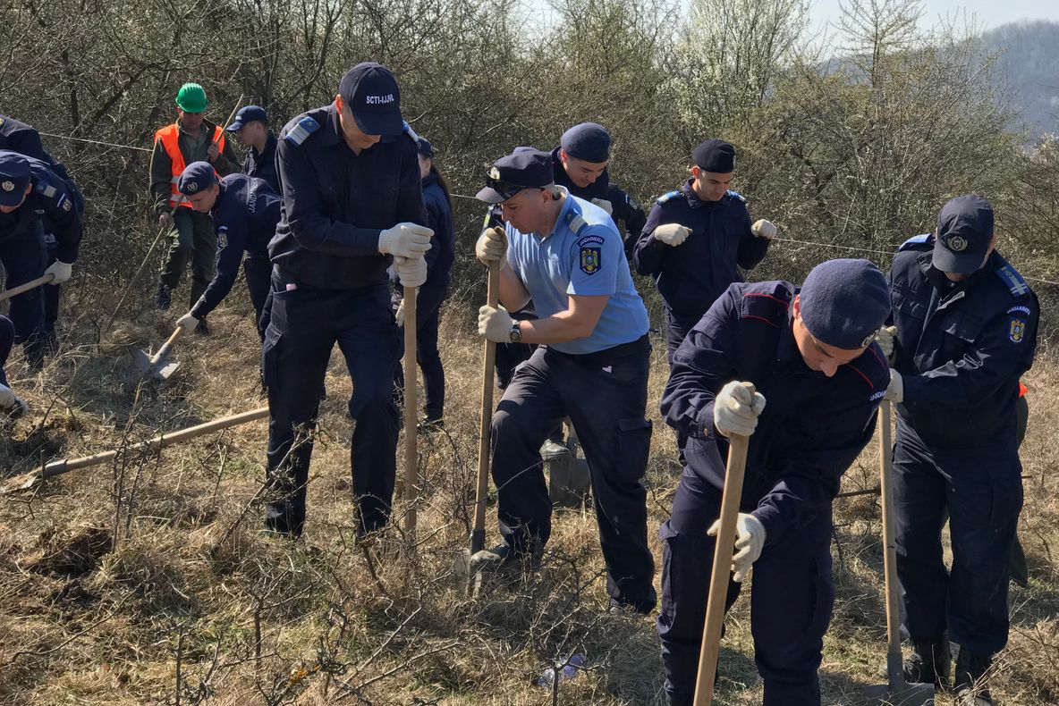 ,,Plantăm fapte bune în România” !
