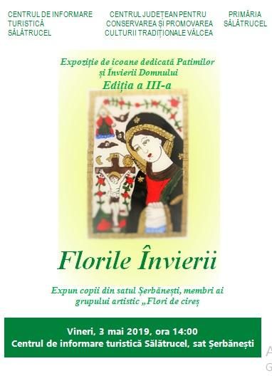 Program încărcat la C.J.C.P.C.T. Vâlcea