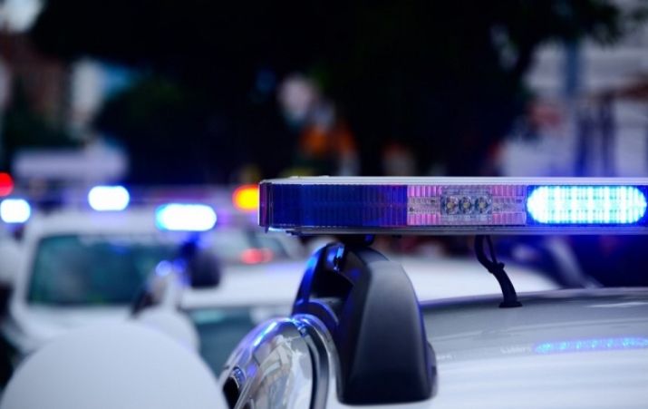 Noi cazuri de pestă porcină, în Vâlcea