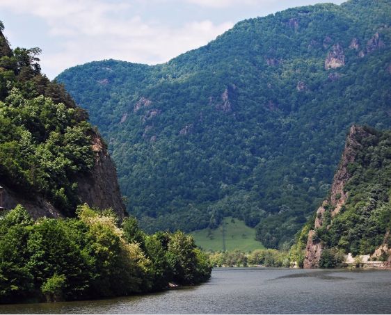 Un urs a coborât în zona Mănăstirii Turnu, în căutare de hrană. Zona este monitorizată