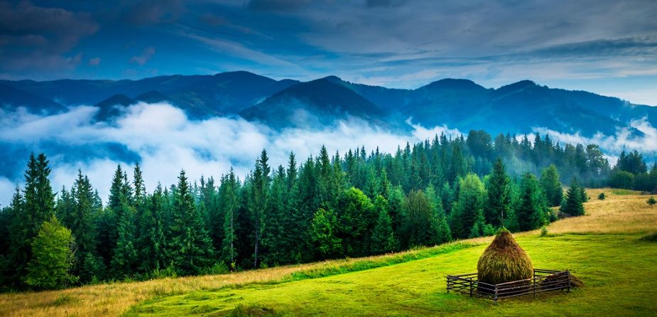 Meșterii vâlceni, prezenți la întâlniri Bucovinene