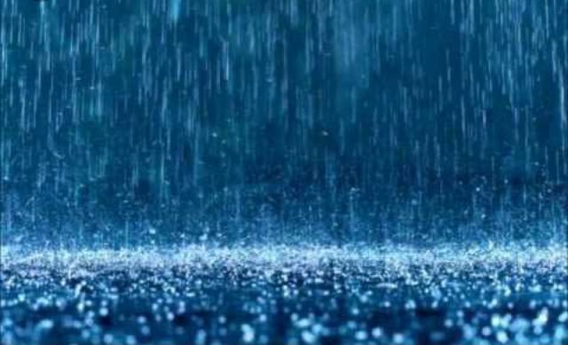 Vânt puternic, acoperișuri smulse și copaci doborâți