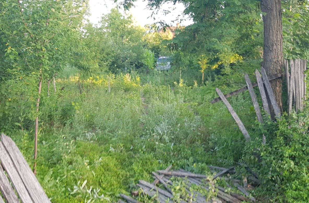 La volan fără permis și sub influența băuturilor alcoolice la Șușani