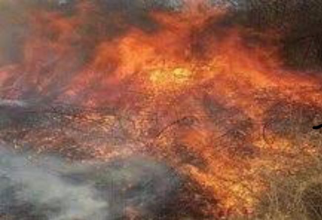 Un incendiu de vegetație a izbucnit în această dimineață în Drăgășani