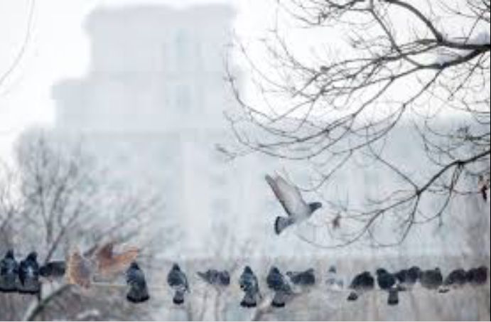 Vremea se va răci, începând de săptămâna viitoare