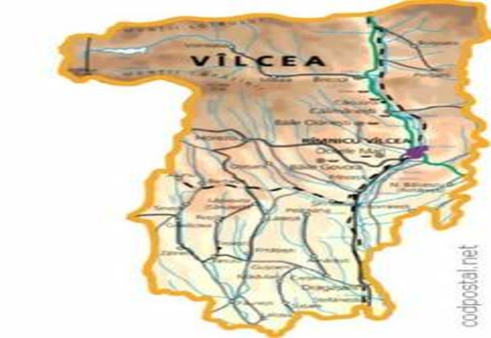 Ședință extraordinară a C.J.S.U. Vâlcea