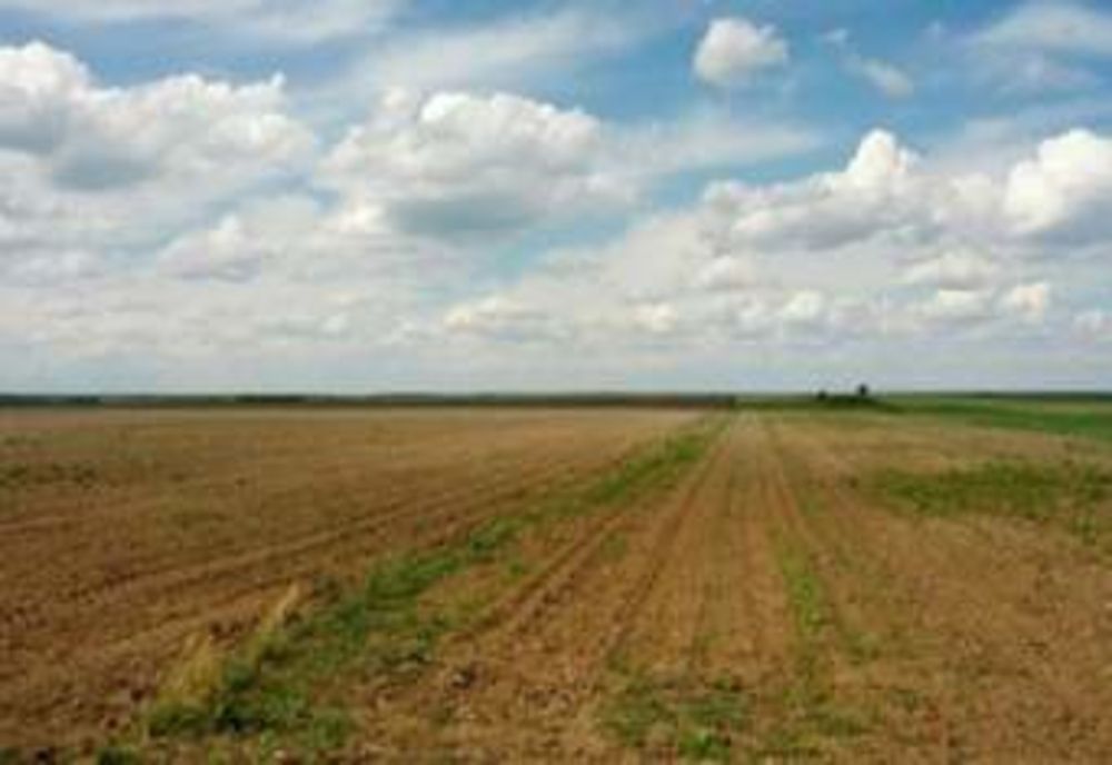 Locuri de muncă disponibile în Danemarca