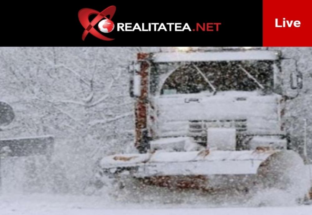 Ninsori visolite în România