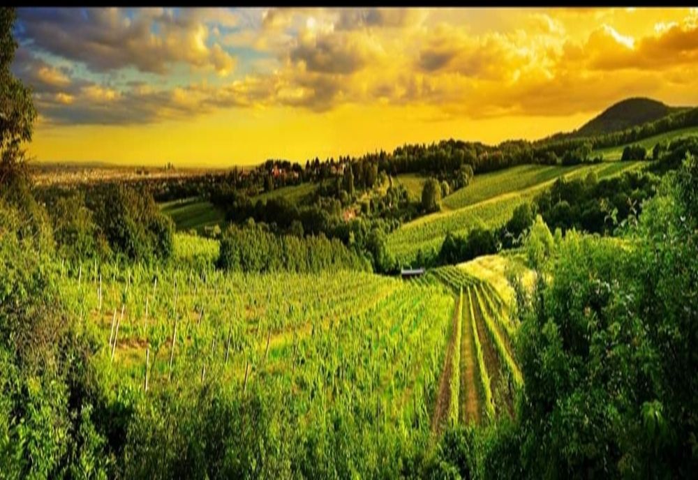 Pictori din întreaga Românie se vor reuni la Drăgășani, alături de celebrul Laurențiu Popa