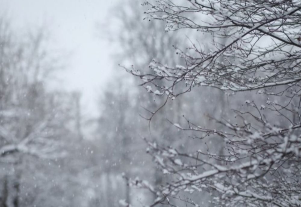 Ninsori ușoare și ceață în mai multe județe 