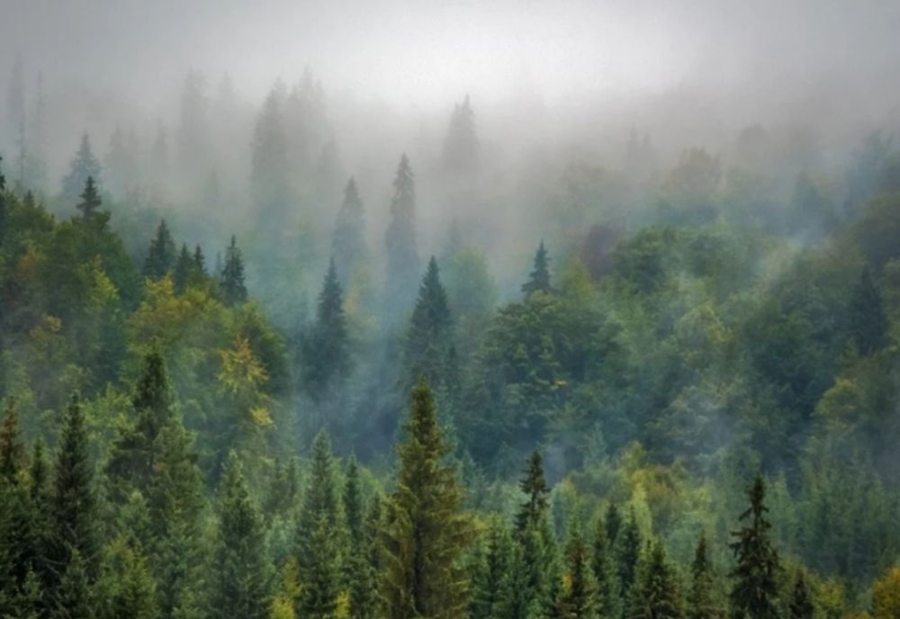 Adaptați maniera de condus la condițiile unei vizibilități reduse 