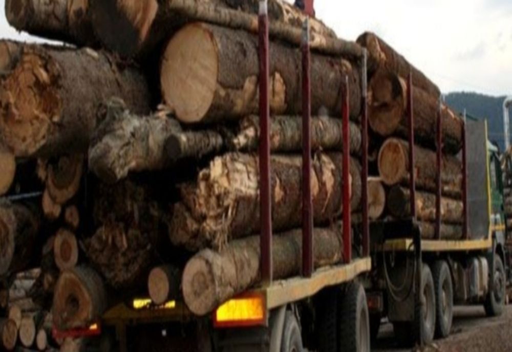 Autotren încărcat cu cherestea rămas blocat pe carosabil