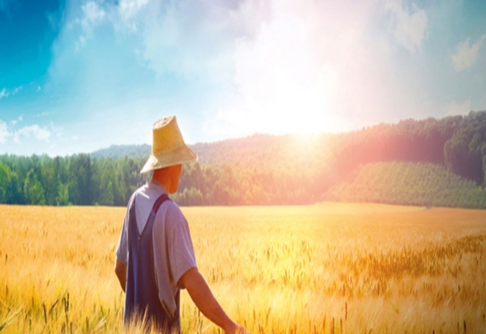 Depunerea Cererii Unice de Plată în anul 2020 va avea loc în perioada 2 martie- 15 mai