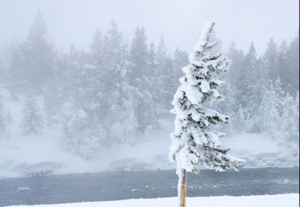 Vânt și zăpadă spulberată în zona montană a Vâlcii