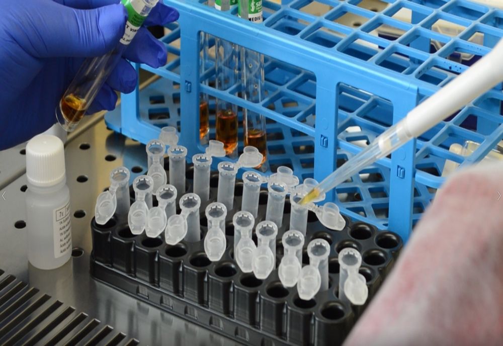 Ultima victimă, o femeie de 27 de ani din Neamț. Bilanțul total al victimelor a ajuns la 282, în România 