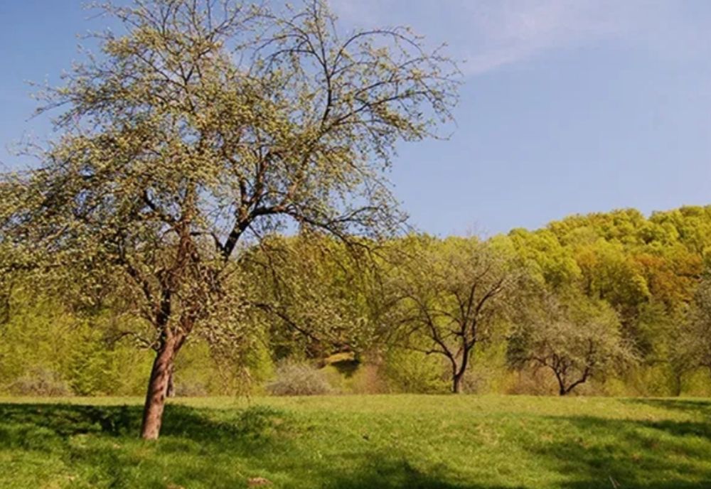 Cum va evolua vremea în săptămânile ce urmează