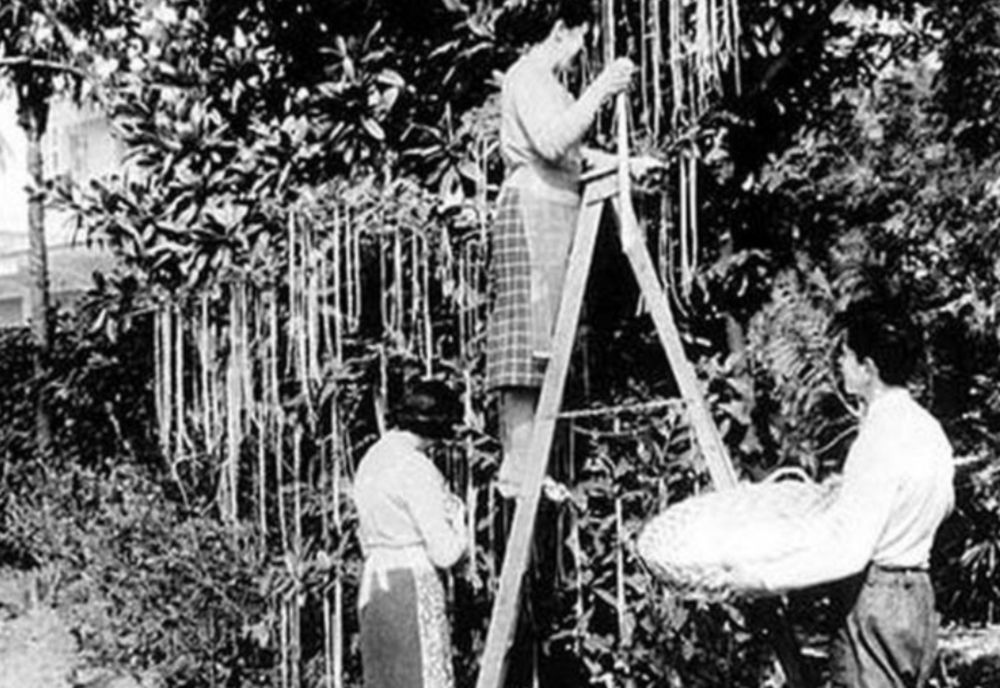 1 aprilie- ziua sărbătoririi Anului Nou și a primelor știri "incredibile" din istorie