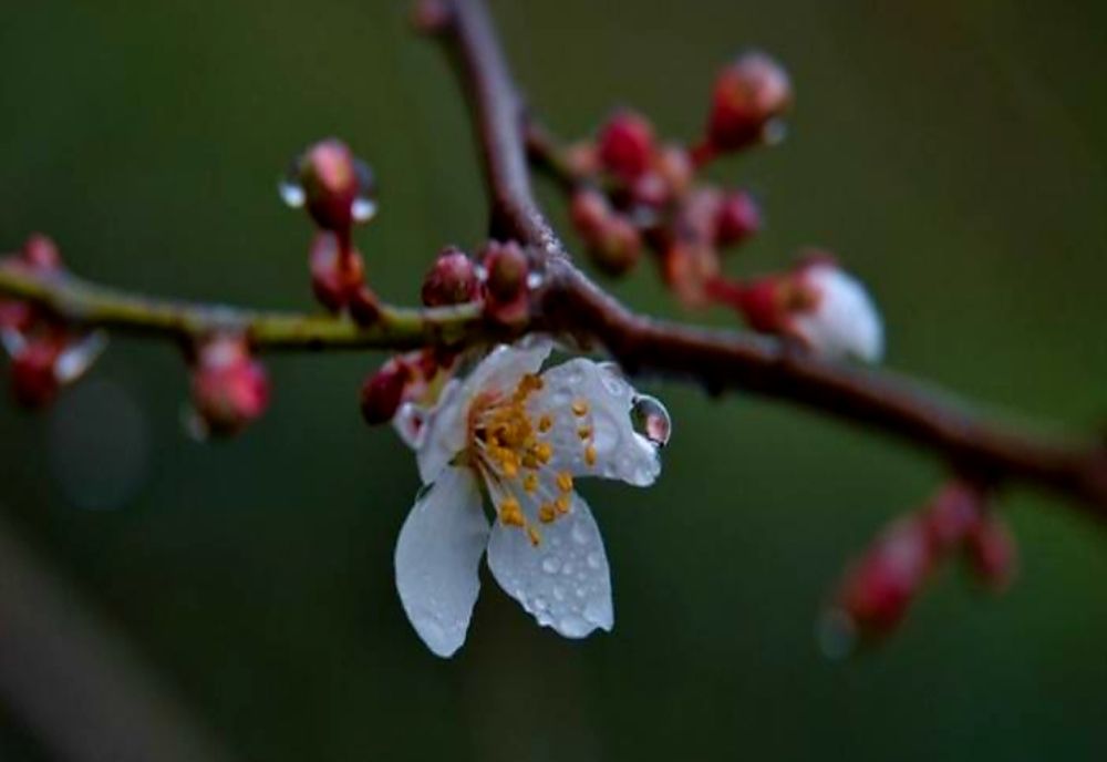 Vremea se schimbă astăzi în jumatatea de sud a ţarii