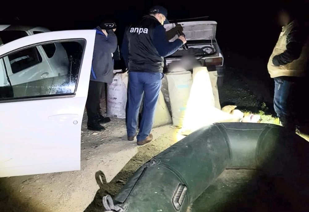 Au pescuit în perioada de prohibiție