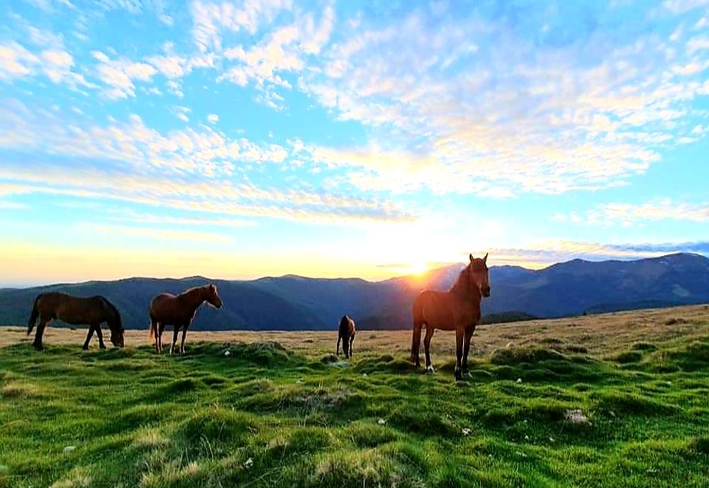 Trasee montane pe Transalpina, deschisă în acest weekend