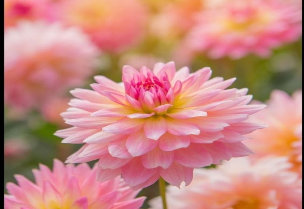 Temperaturi ridicate și ploi, anunțate în zilele ce urmează