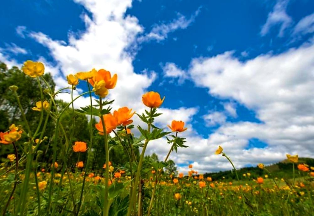 Cum va fi vremea în țara noastă în săptămânile ce urmează