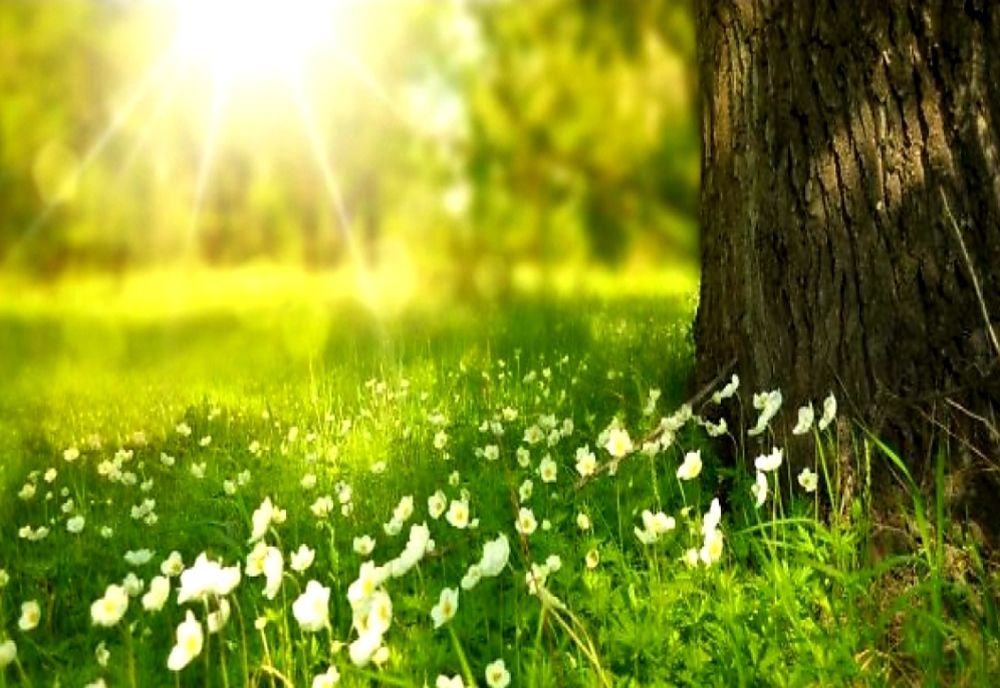 Vreme caldă și ploi luni, în țara noastră