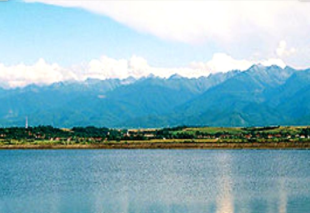 Oltul, populat cu pește specia crap