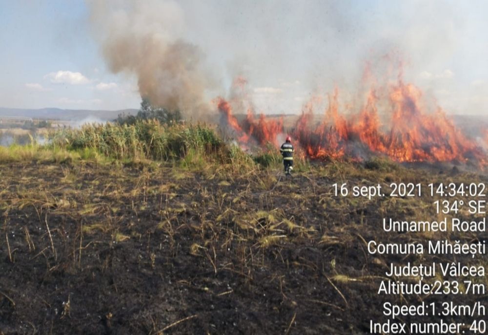 Șapte hectare cu vegetație uscată în flăcări, la Vâlcea