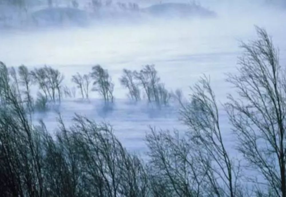 Mehedinți, Vâlcea și Gorj, sub cod galben de vânt puternic până vineri dimineaţa