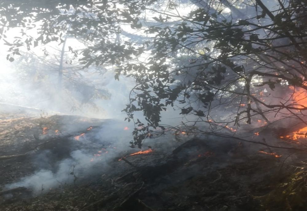 VIDEO|O aeronavă MApN a decolat în această seară spre Vâlcea, la incendiul izbucnit astăzi