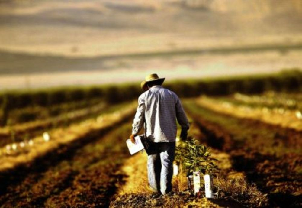 Fermierii români vor primi mai mulți bani de la UE - Ce produse ar putea fi oprite de la import