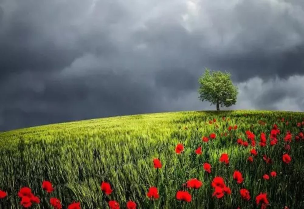 Temperaturi scăzute astăzi și ploi, în mai multe zone ale țării